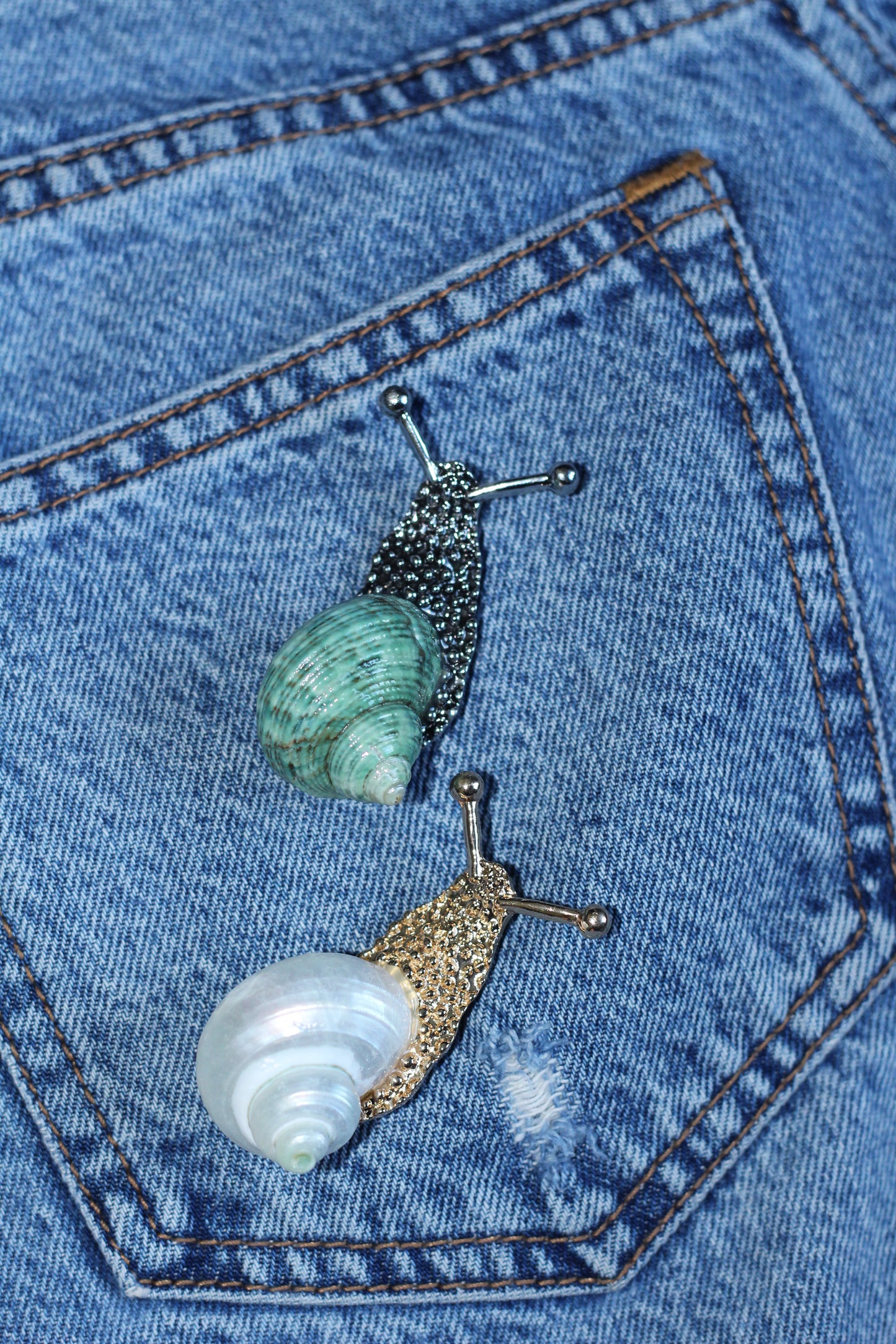 THE SNAIL